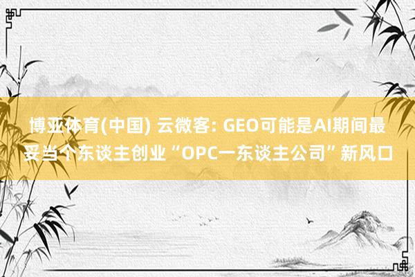 博亚体育(中国) 云微客: GEO可能是AI期间最妥当个东谈主创业“OPC一东谈主公司”新风口