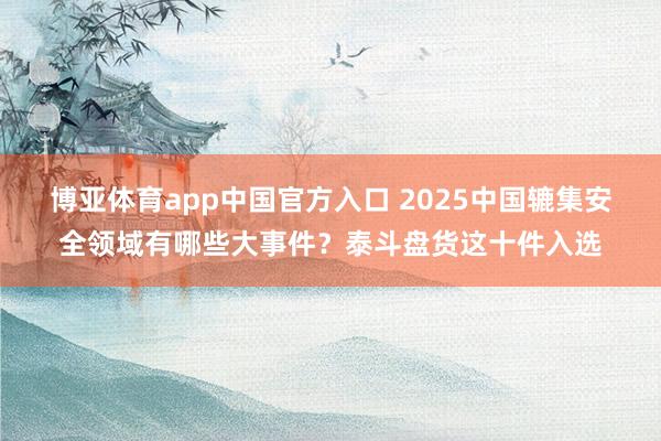 博亚体育app中国官方入口 2025中国辘集安全领域有哪些大事件？泰斗盘货这十件入选