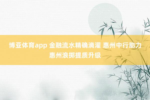 博亚体育app 金融流水精确滴灌 惠州中行助力惠州浪掷提质升级