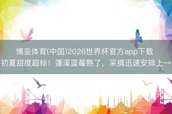 博亚体育(中国)2026世界杯官方app下载 初夏甜度超标！蓬溪蓝莓熟了，采摘迅速安排上→