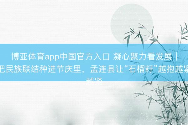 博亚体育app中国官方入口 凝心聚力看发展｜把民族联结种进节庆里，孟连县让“石榴籽”越抱越紧