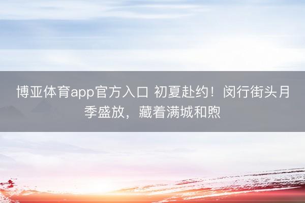 博亚体育app官方入口 初夏赴约！闵行街头月季盛放，藏着满城和煦