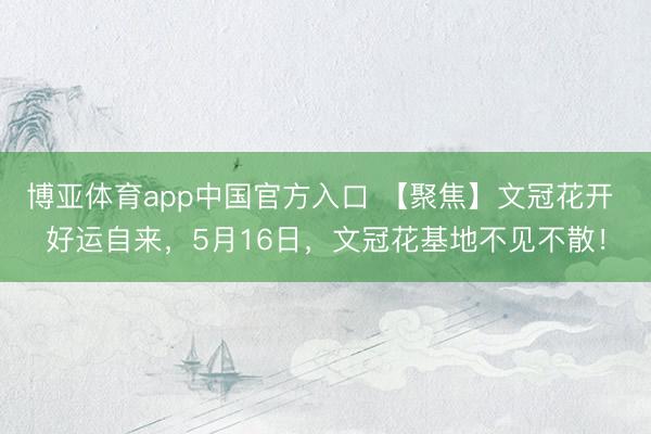 博亚体育app中国官方入口 【聚焦】文冠花开 好运自来，5月16日，文冠花基地不见不散！
