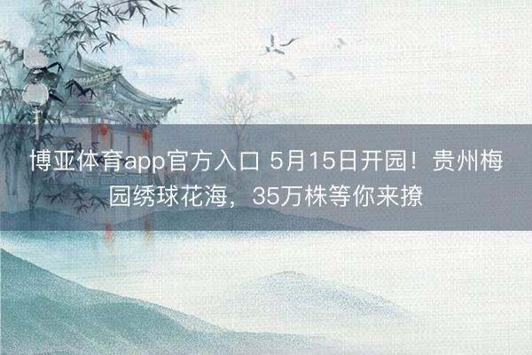 博亚体育app官方入口 5月15日开园！贵州梅园绣球花海，35万株等你来撩