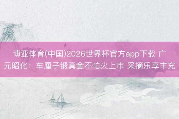 博亚体育(中国)2026世界杯官方app下载 广元昭化：车厘子锻真金不怕火上市 采摘乐享丰充