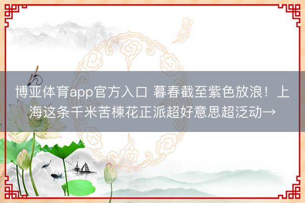 博亚体育app官方入口 暮春截至紫色放浪！上海这条千米苦楝花正派超好意思超泛动→