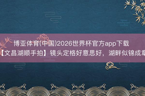 博亚体育(中国)2026世界杯官方app下载 【文昌湖顺手拍】镜头定格好意思好，湖畔似锦成章