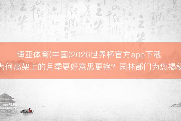 博亚体育(中国)2026世界杯官方app下载 为何高架上的月季更好意思更艳？园林部门为您揭秘