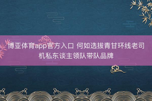 博亚体育app官方入口 何如选拔青甘环线老司机私东谈主领队带队品牌