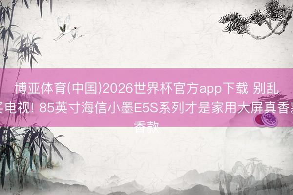 博亚体育(中国)2026世界杯官方app下载 别乱买电视! 85英寸海信小墨E5S系列才是家用大屏真香款