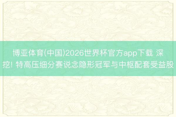 博亚体育(中国)2026世界杯官方app下载 深挖! 特高压细分赛说念隐形冠军与中枢配套受益股