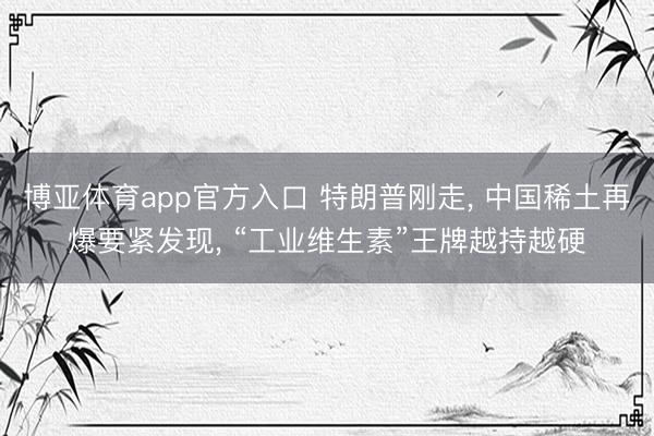博亚体育app官方入口 特朗普刚走， 中国稀土再爆要紧发现， “工业维生素”王牌越持越硬