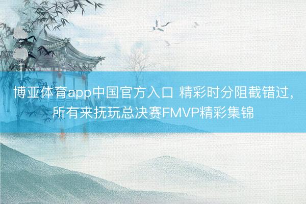 博亚体育app中国官方入口 精彩时分阻截错过，所有来抚玩总决赛FMVP精彩集锦