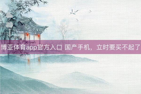 博亚体育app官方入口 国产手机，立时要买不起了
