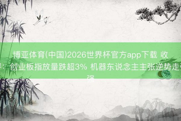 博亚体育(中国)2026世界杯官方app下载 收评：创业板指放量跌超3% 机器东说念主主张逆势走强