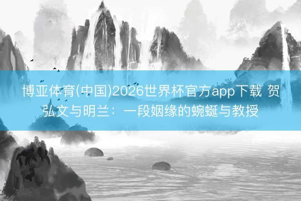博亚体育(中国)2026世界杯官方app下载 贺弘文与明兰：一段姻缘的蜿蜒与教授
