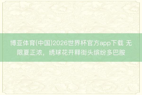 博亚体育(中国)2026世界杯官方app下载 无限夏正浓，绣球花开释街头缤纷多巴胺